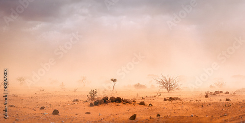 Climate catastrophe dusty sandstorm in African desert