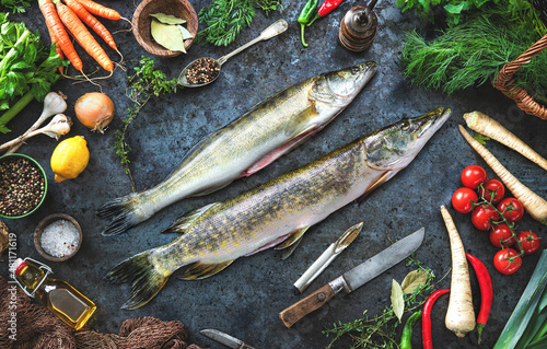 Fresh raw pike perche or zander and pike fish with ingredients prepared for cooking