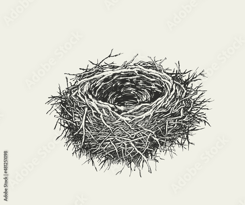 An Empty Nest without Eggs. Hand Drawn Vector Illustration.