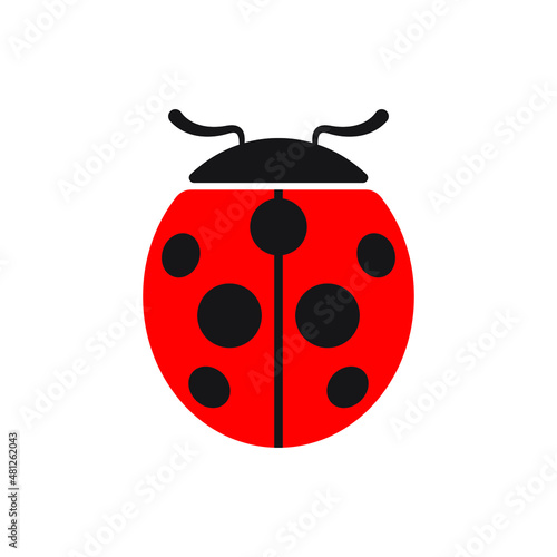 Cute ladybug or ladybird simple flat design red and black. Vector illustration isolated on white background.