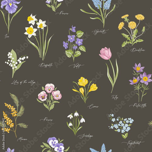 Spring Garden variety flowers on dark colour hand drawn vector seamless pattern. Vintage Romantic Bloom design. Curiosity Cabinet Botanical aesthetic floral print for fabric, scrapbook, wrapping