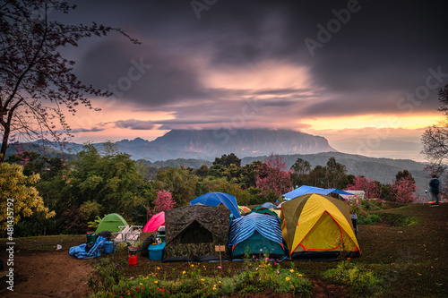 Tourist tents pitching waiting for the sunrise on Doi Luang Chiang Dao mountain with cloudy and spring forest in national park