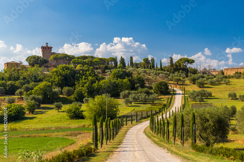 Typical Tuscan landscape near Montepulciano and Monticchielo, Italy