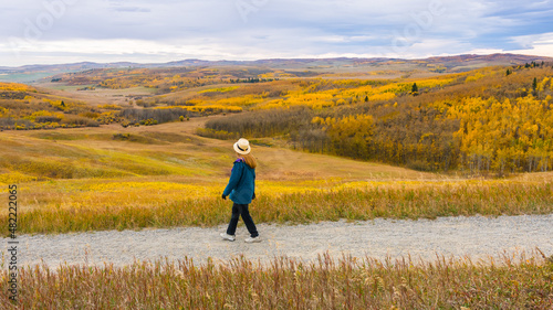 Woman traveler walking on a trail looking at beautiful autumn color forest valley. Rural Alberta prairie field landscape wallpaper