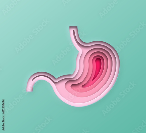 Realistic 3D paper cut human stomach illustration. Layered colorful digestive organ for medicine, gastric disease or food diet concept.