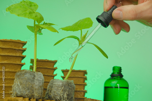 Fertilizer for seedlings. Seedling root system activator in a green bottle, a cucumber plant and a pipette in a man's hand on a green background.Growth energy for plants.Plant breeding.