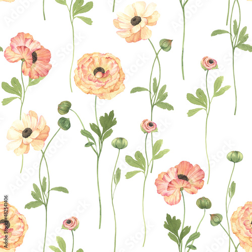 Floral seamless pattern with delicate flowers ranunculus on white background, watercolor illustration for textile or wallpapers.