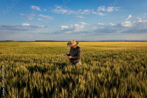 Portrait of senior farmer in wheat field at sunset.