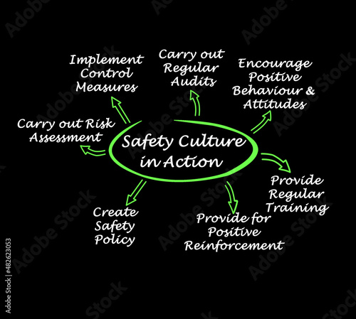 Diagram of Safety Culture in Action.