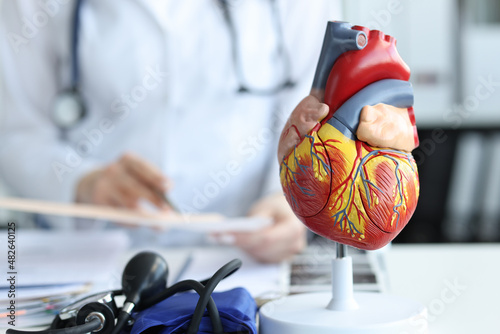 Artificial plastic model of human heart standing against background of cardiologist closeup