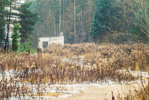 Opuszczony domek w lesie