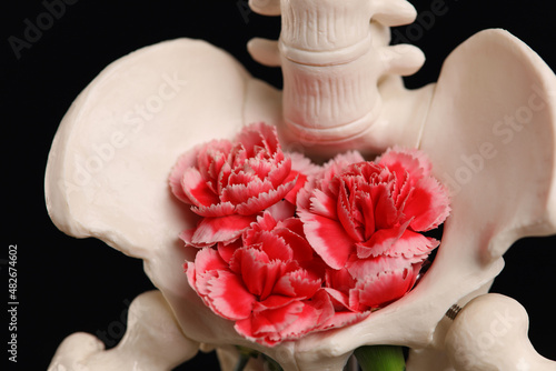 Blooming Pelvis bone decorated with flowers. Human anatomy art. Gynecology, Fertility, Female health concept