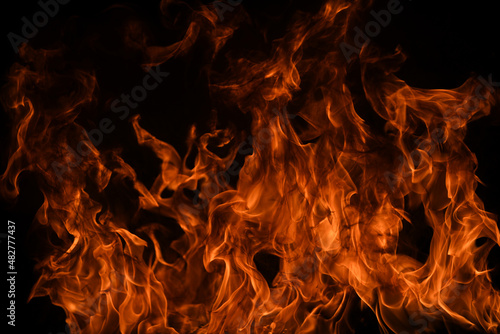 Flame fires. Burn lights on a black background. Fire flames on black background. Abstract fire flame background.