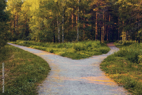 Divergence of directions. A wide path in the park is divided into two alleys leading in different directions in the rays of sunset.