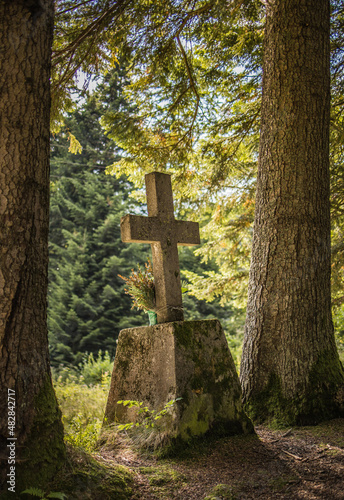 krzyż w lesie