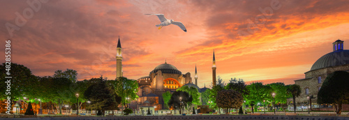 Hagia Sophia Mosque and seagull above it under dramatic sky