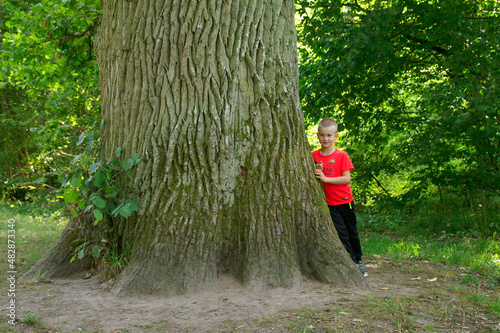 chłopiec obok wielkiego pnia drzewa