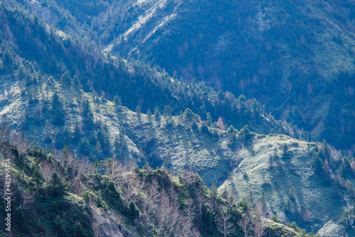志賀高原の山肌
