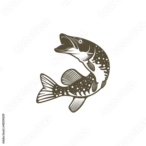 Pike fish silhouette vector illustration. Design for fishing club or team as well as seafood