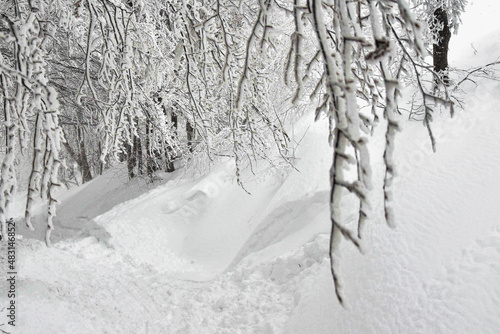 Białe drzewa, szadź i śnieg na drzewach, Bieszczady, piękna biała zima w górach. White trees, rime and snow on trees, beautiful winter.
