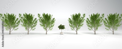 3D illustration of row of trees with a plant in flowerpot in the middle