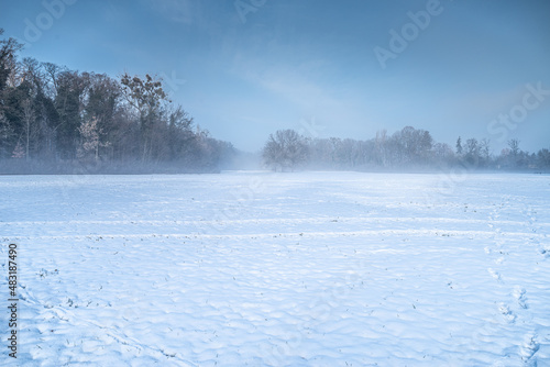 zamieć śnieżna lub zimowy pejzaż z mgłą o poranku wśród lasów i wody