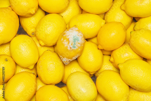 Lemons in store