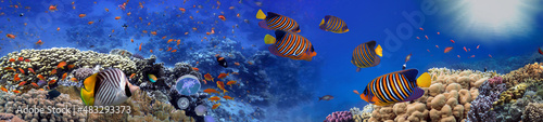 Coral reef underwater panorama with tropical fish