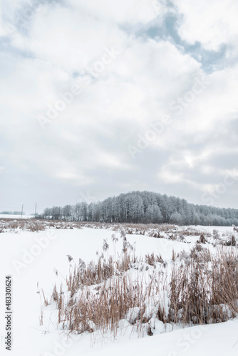 Winter landscape with forest and fields