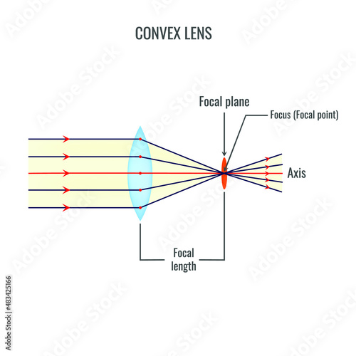 Convex lens vector illustration diagrams