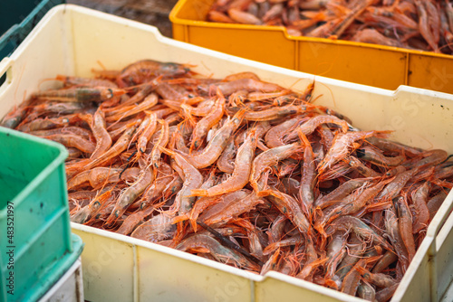 Freshly just caught shrimps and other fish in plastic crates on a fishing wooden boat ready to be sold at the fish market
