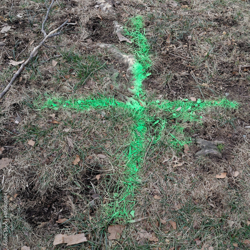 Green spray-painted utility markout identifying underground sewer or drain line.