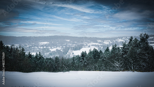 Zimowy krajobraz. Plener zimową porą. Drzewa zimą. Widok na miesteczko. Okolice Krakowa. 