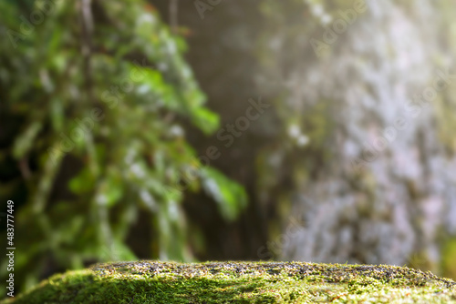 outdoor mockup copy space for environmentally friendly products in the forest. the pedestal made of stone and moss is real green. suitable for natural cosmetics or food or water