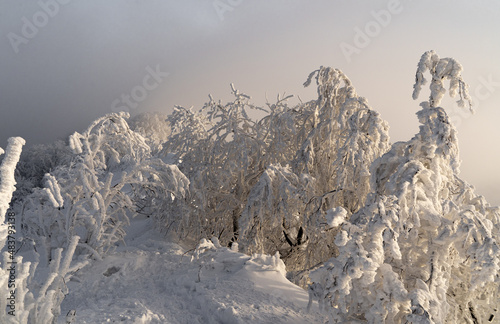 Bieszczady, Polska , połonina , góry, Karpaty