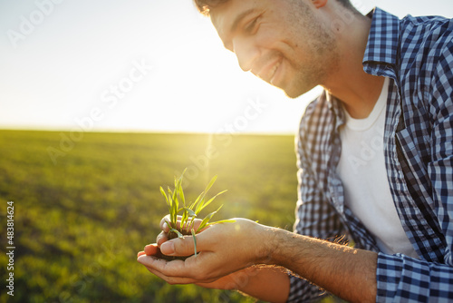 Young agronomist checks the quality of the new crop and happy with the results. Farmer examines the growth progress of the green wheat sprouts. Healthy food and farming concept.