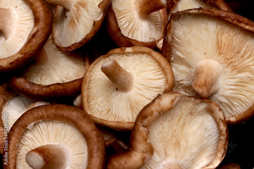 group of shiitake mushrooms, shitake texture, mushroom ingredients