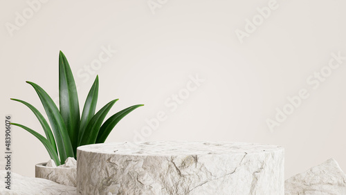 stone podium with tropical plant on summer concept for product display.