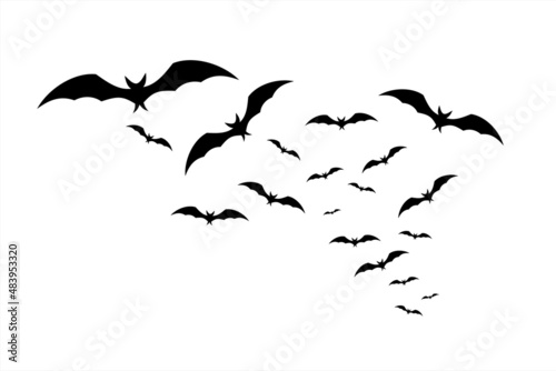 Happy Halloween. Bats fly in the sky. A flock of bats flying on a white background 
