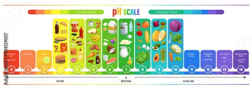 PH scale chart, acid balance of nutrition measure meter and food chemistry science infographics. Food acidity laboratory test scale with fast food meal and drink, dairy products, fruits and vegetables