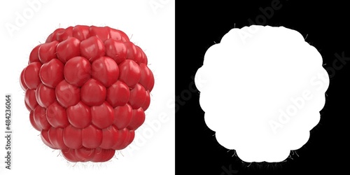3D rendering illustration of a raspberry