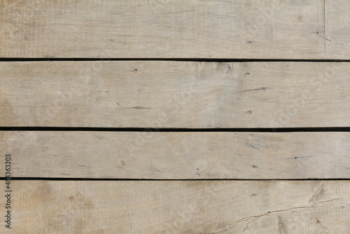 Hardwood texture of a natural tree. A wooden wall. Organic background in a beige palette.