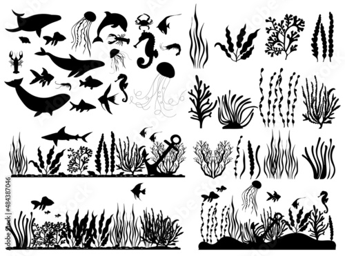 marine animals and fish, seaweed silhouette ,on white background, vector