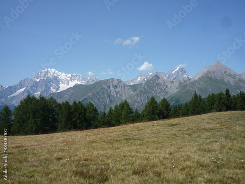scenic view on a mountain meadow panorama on Italian Alps with copy space for your text