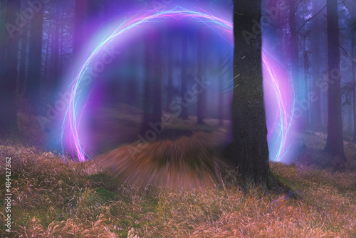 Neon portal in the foggy forest, magical evening