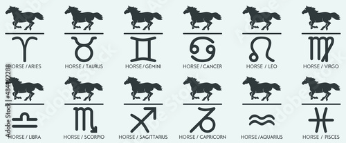 Vector Year of the horse Animal icons eastern annual horoscope and zodiac signs in one symbol 2026 2038 2050 2062 years