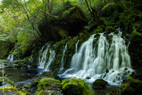 苔が生えた緑の岩と滝の流れ