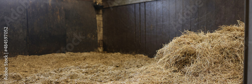 Empty stall in the stable with hay closeup