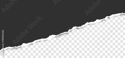 Realistic, torn, diagonal strip of gray paper with a light shadow on a transparent background. Torn cardboard.