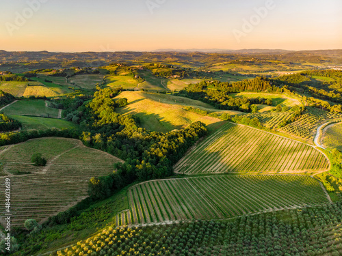 Aerial view of endless rows of grapevines around San Gimignano town. Vineyards, plantations of grape-bearing vines grown for winemaking in Tuscany, Italy